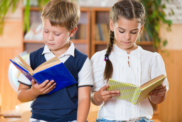 Portrait of two diligent pupil with books - 写真・画像
