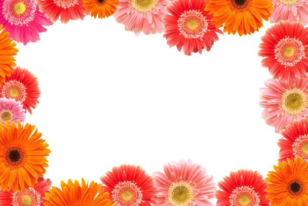 daisy frame - Фото, изображение