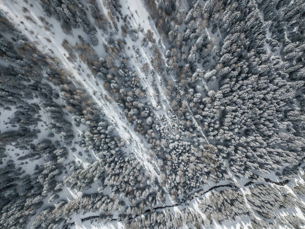Vista aérea de abetos cobertos de neve
 - Foto, Imagem