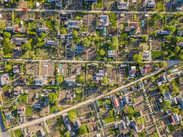 Aerial view of allotment garden - Foto, immagini