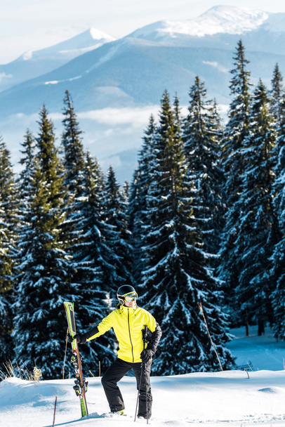 skier holding ski sticks while standing on snow near pines - Photo, Image
