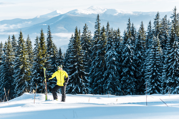 skier holding ski sticks while standing on snow near firs - Photo, Image
