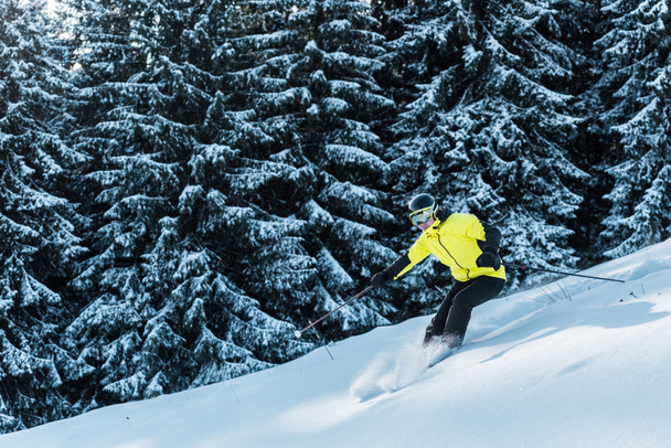 esquiador en gafas esquiar en la nieve cerca de los árboles
 - Foto, imagen