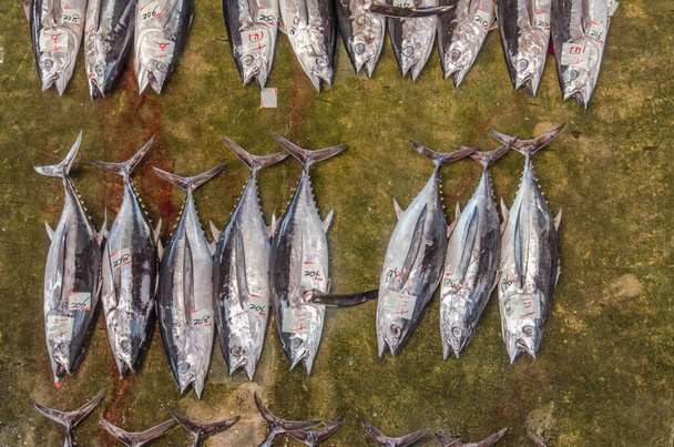 Felülnézet a japán halpiacon tonhallal - Fotó, kép