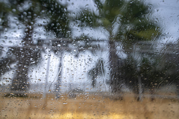 Palm trees in the wind through the glass with raindrops - Photo, Image