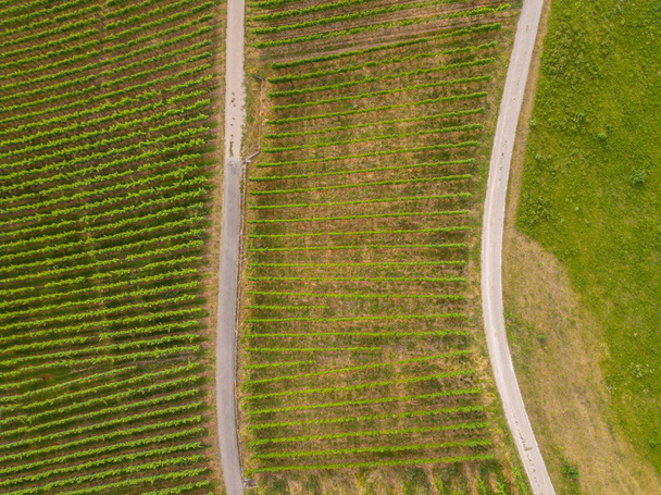 Vista aérea do campo agrícola
 - Foto, Imagem