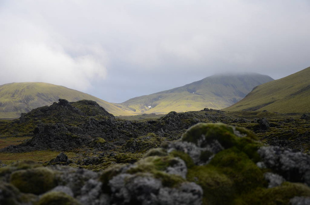 アイスランドの岩の上のクローズアップ苔。フィールドの浅い深さ。荒野と遠隔性の概念. - 写真・画像