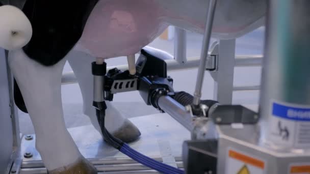 Automatic milking robotic arm machine at cattle dairy farm, trade show - Footage, Video