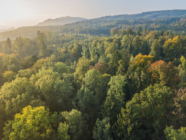 Vista aérea de bosque y área abierta en Suiza desde arriba. Paisaje tranquilo
. - Foto, imagen