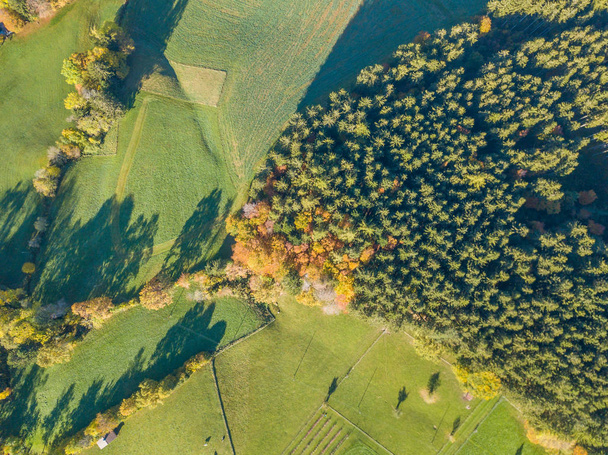 Aerial view of forest and open area in Switzerland from above. Calm countryside. - Foto, Bild