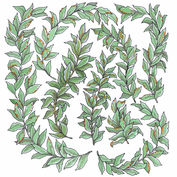 Plant and leaves drawing. Vector cartoon illustration - Διάνυσμα, εικόνα