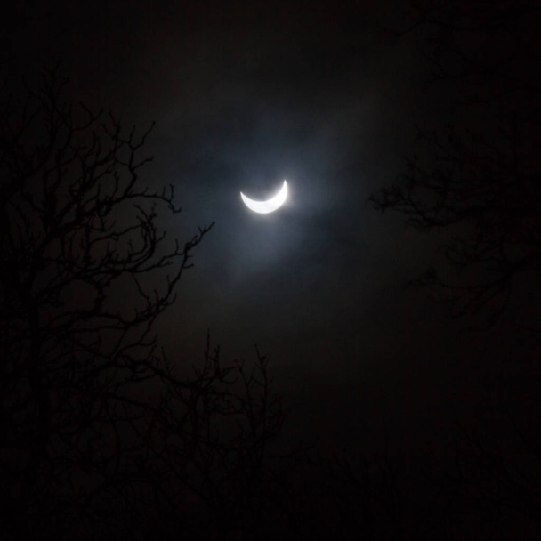 kuu pimeässä yötaivaalla - Valokuva, kuva