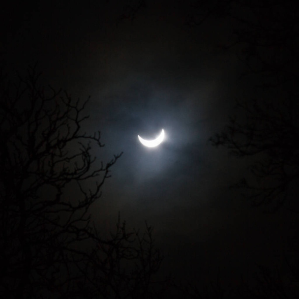 hold sötét éjszakai égbolton - Fotó, kép