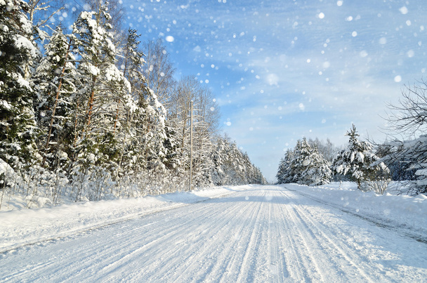 El camino en el campo en el día soleado invernal. Nieve clásica cubierta
 - Foto, imagen