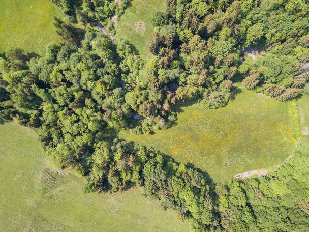 Вид с воздуха на лес в сельской местности Швейцарии
 - Фото, изображение