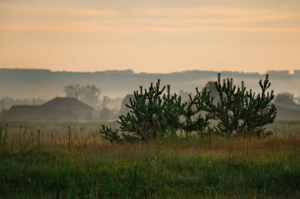 Oroszország. Khakassiai Köztársaság. Köd a kora nyári reggel a mezők közelében, Abakan város. - Fotó, kép