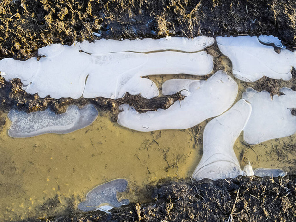 Ice on a muddy puddle on a dirt road - 写真・画像
