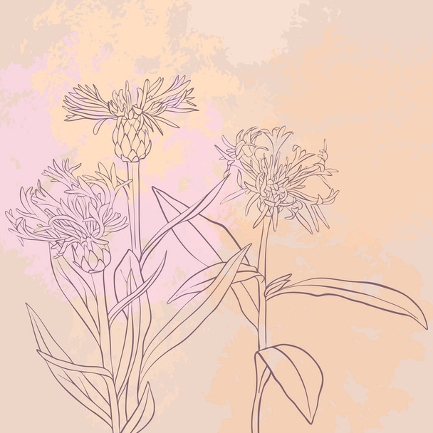 vector drawing flowers - Vetor, Imagem