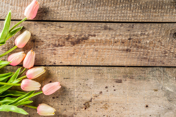 San Valentino sfondo con teneri fiori di tulipano
 - Foto, immagini