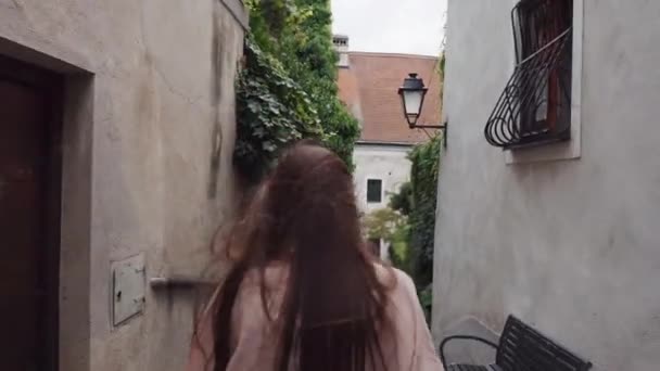 verkennen van een klein dorp in de Oostenrijkse provincie in Europa - Video