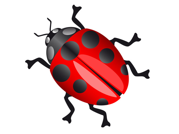 Ladybird - Вектор, зображення