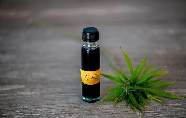 Cannabis Cbd olajkender termékek cannabis olaj, Cbd olaj cannabis kivonat, orvosi kannabisz koncepció. - Fotó, kép