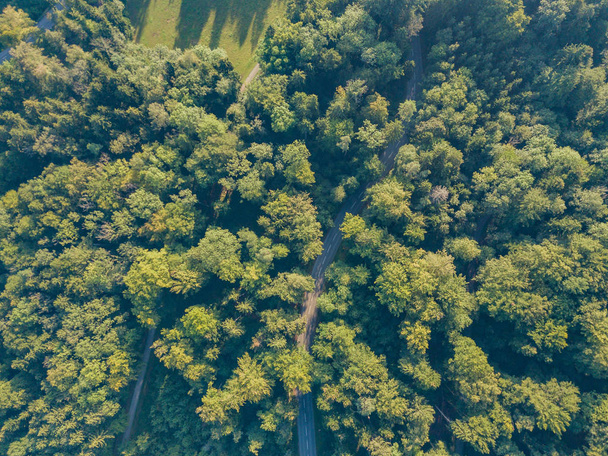Aerial view of road through forest in Switzerland - Photo, Image