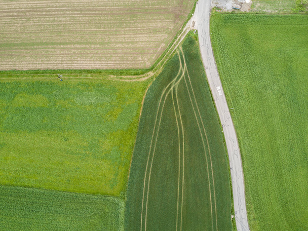 Aerial view of road trough rural landscape  during sunset in Switzerland, Europe - Fotografie, Obrázek