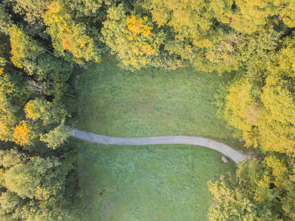 Vista aérea del bosque de caminos en Suiza
 - Foto, Imagen