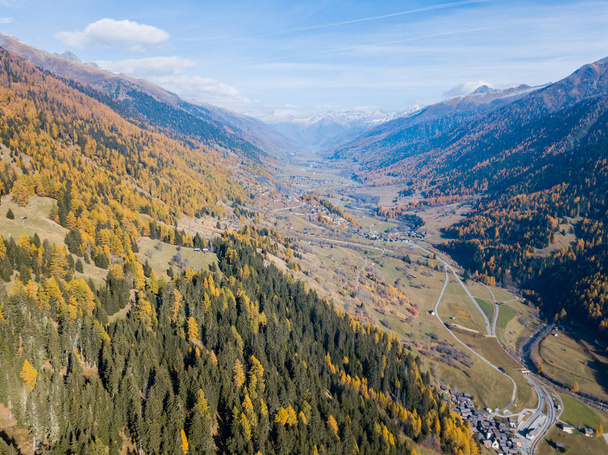 Aerial view of yellow trees in autumn - Photo, Image