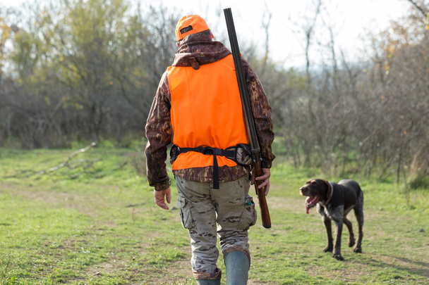 Un uomo con una pistola in mano e un giubbotto arancione a caccia di fagiani in una zona boscosa con tempo nuvoloso. Cacciatore con cani in cerca di gioco. - Foto, immagini