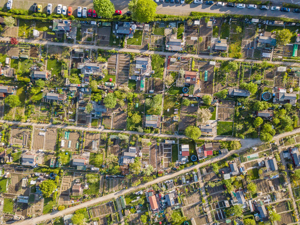 Aerial view of allotment garden - Foto, Imagem