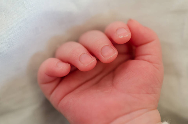 Egy újszülött kicsi keze. Csecsemőujjak és tenyér - Fotó, kép