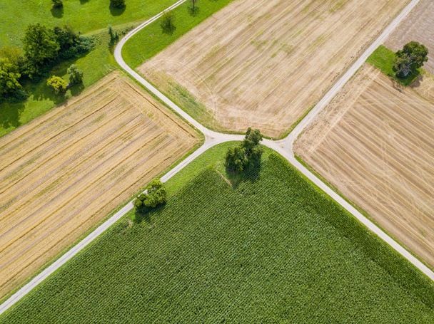 Widok z lotu ptaka na obszar wiejski z pastwiskami, łąkami i ścieżką przez las w Szwajcarii - Zdjęcie, obraz
