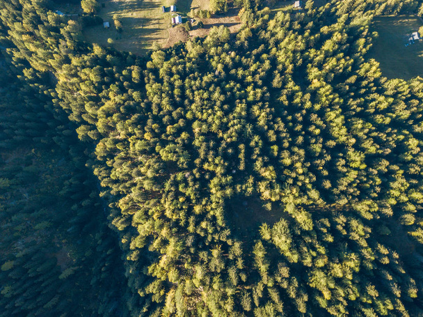 Uitzicht vanuit de lucht op het bos in het berggebied in Zwitserland - Foto, afbeelding