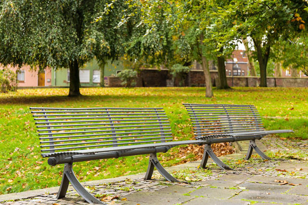 две одинокие скамейки в городском парке под дождем
 - Фото, изображение