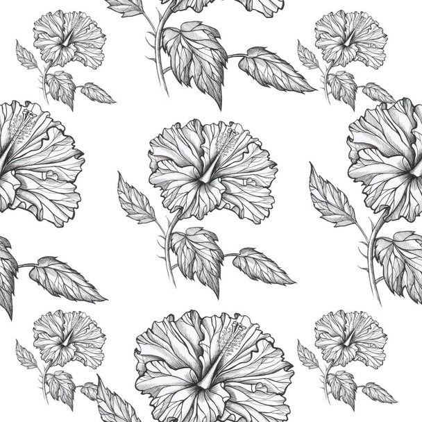 hibiscus pattern White background - Foto, afbeelding