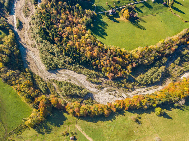 Vista aérea de los árboles amarillos en otoño
 - Foto, Imagen