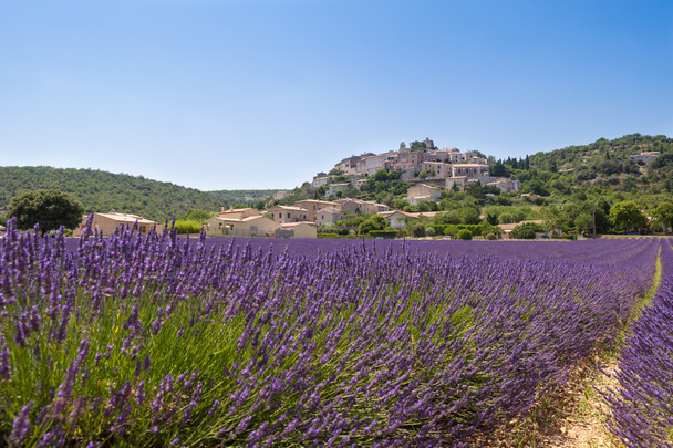 Provence kırsal - Fotoğraf, Görsel
