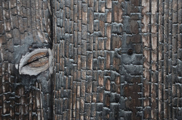 Spálené dřevo, černé uhlí - Fotografie, Obrázek