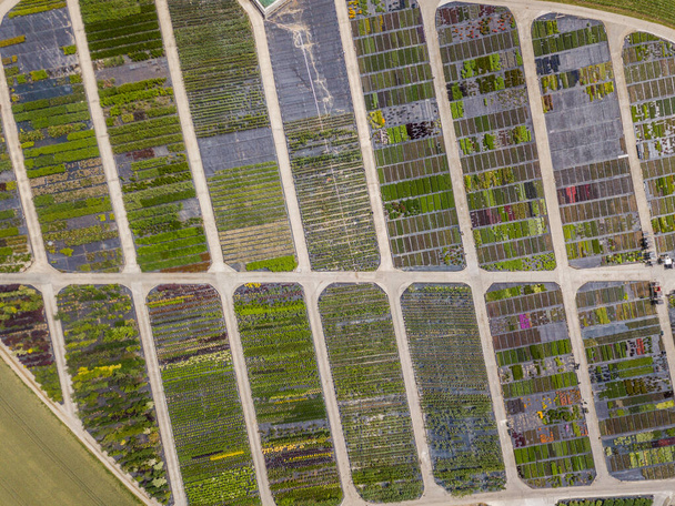 植物保育園で栽培された若い植物の列の空中ビュー  - 写真・画像