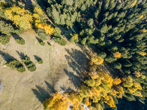 A légi felvétel a sárga fák ősszel - Fotó, kép