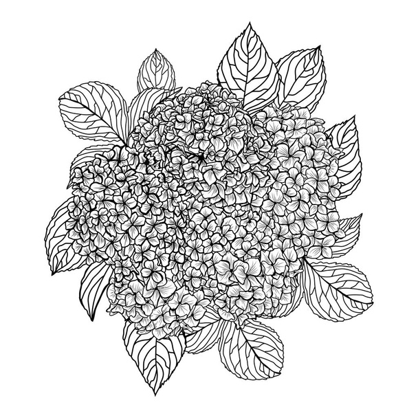 hand drawn floral decoration - Διάνυσμα, εικόνα