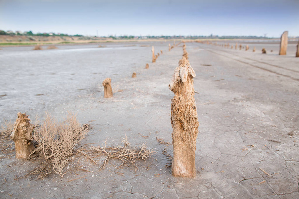 Zoutstrook omsloten door gedroogde houten pilaren op een zoutmeer. Zoutproductie. Landschap op zoutmeer in de zomer zonnige dag.Verlaten zoutproductie. verlaten zoutproductie - Foto, afbeelding