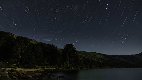 Star trail in an arid and isolated landscape, there is a large shrub in the middle and many clay mountains - Photo, Image