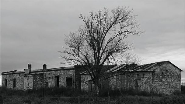Terk edilmiş ve ürkütücü bir ev. - Fotoğraf, Görsel