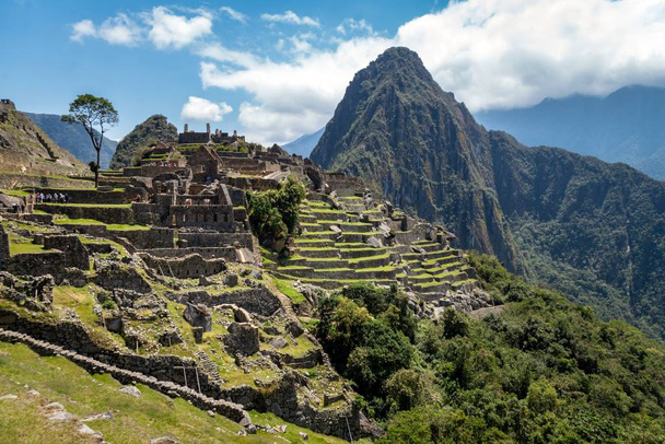 Město Machu Picchu zevnitř. Huayna Picchu hora a zelená vegetace je vidět. Zataženo - Fotografie, Obrázek