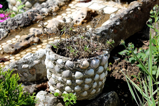 Kotitekoinen betoni kukkaruukku peitetty kuoret täynnä kuivattuja kasveja paikallisessa kotipuutarhassa ympäröi improvisoitua stream ja muita kasveja lämpimänä aurinkoisena kesäpäivänä
 - Valokuva, kuva