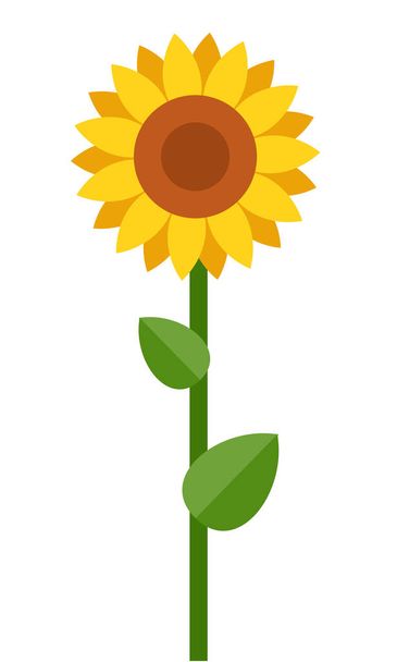 One blooming sunflower vector flat isolated - Вектор,изображение