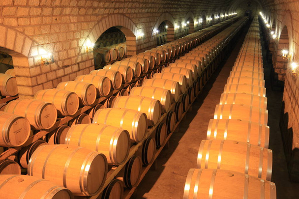 wijn vaten gestapeld in de kelder - Foto, afbeelding